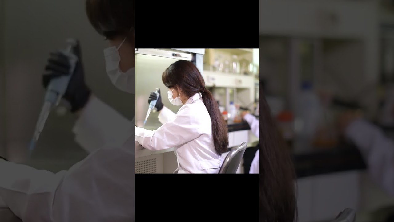 Discover the Flavors of Korea: Kimchi (김치) – A Traditional Delight 🇰🇷