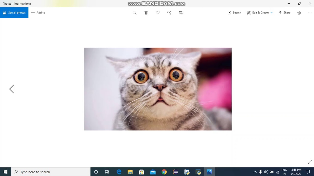How Image Steganography Works: Secrets Hidden in Plain Sight 🔍