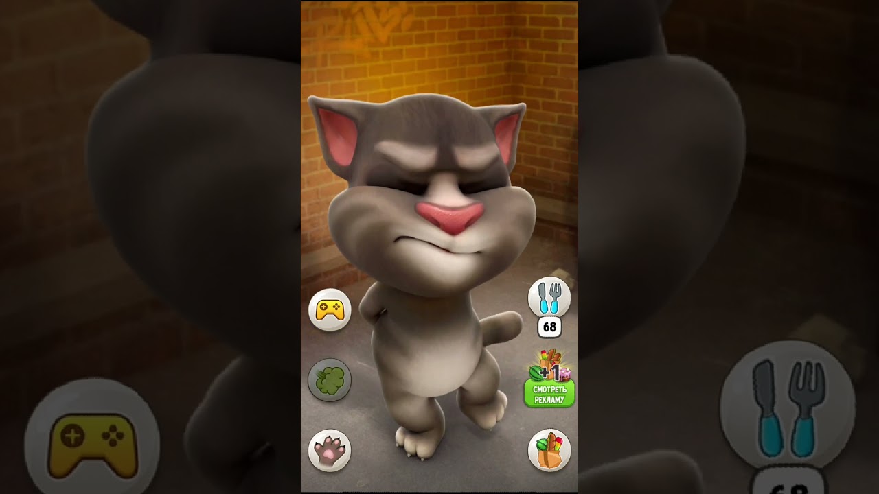 Hilarious Talking Tom Gameplay 😂 | Funniest Cat Moments!