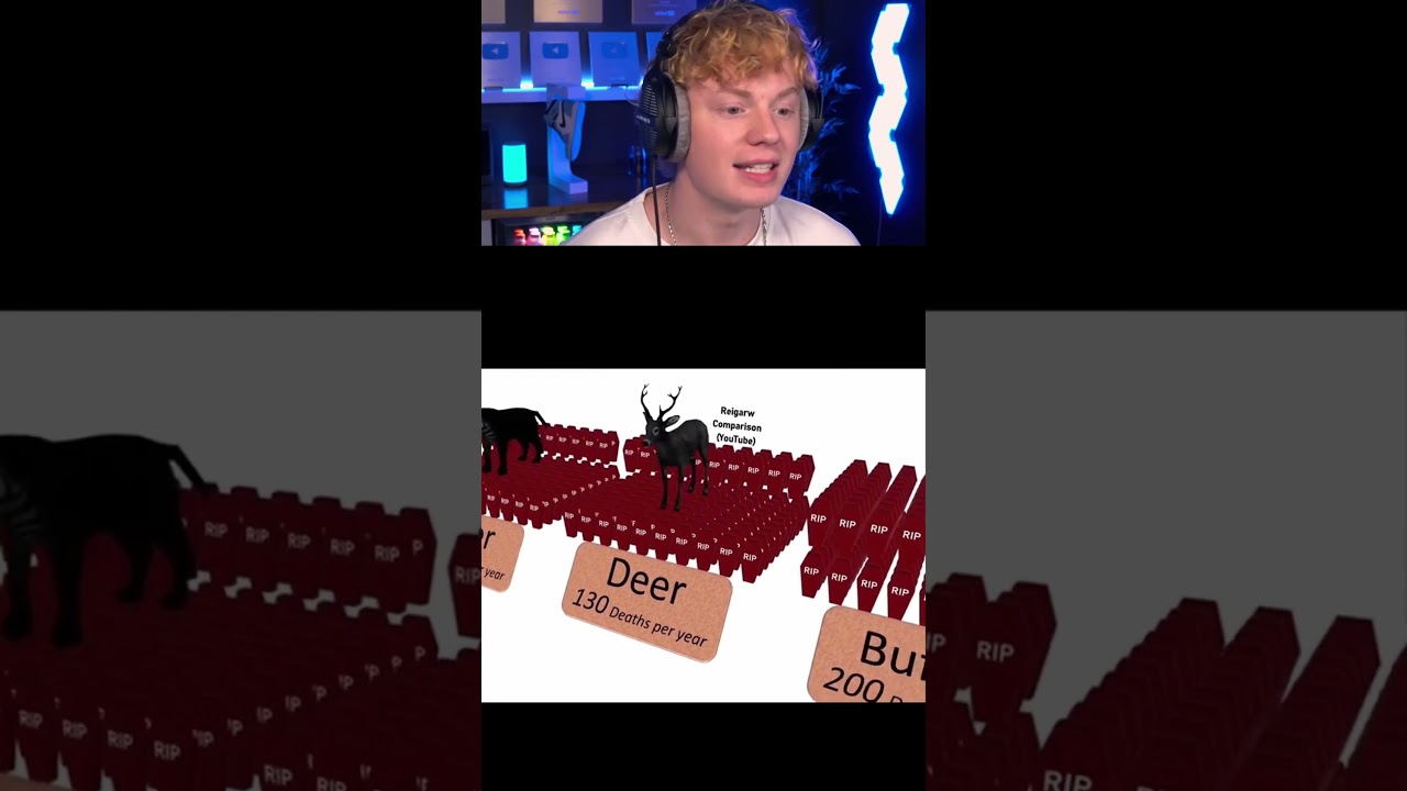 World's Most Dangerous Animals 😨