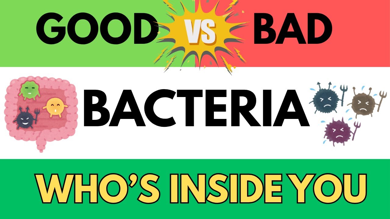 Good Bacteria vs Bad Bacteria 🔬 | What’s Living Inside Your Body? (Microbiome Explained)