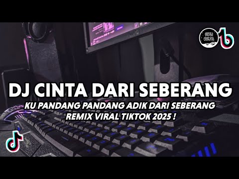 DJ CINTA DARI SEBERANG VIRAL TIKTOK | DJ KU PANDANG PANDANG ADIK DARI SEBERANG REMIX TERBARU 2025