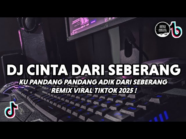 Viral TikTok DJ Cinta Dari Seberang & Pandang Pandang Remix 2025 🎶