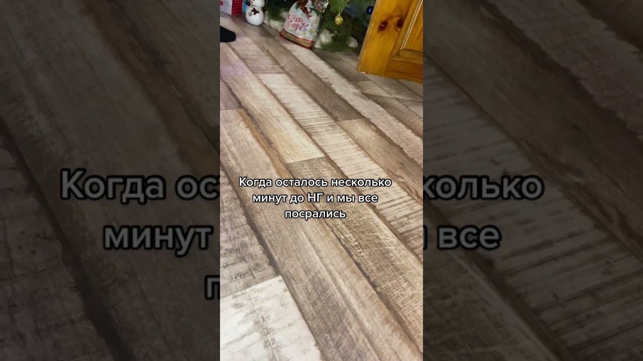 Семья, дружба и юмор: ежедневные короткие видео в Shorts 🎥