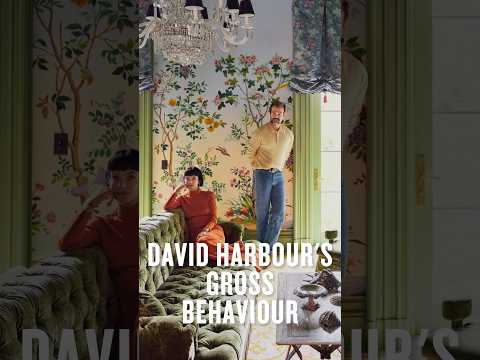 âšLily Allen Pens Scathing Albumabout David Harbourâs Cheating+ The Row Sample Sale Mass Psychosisâš