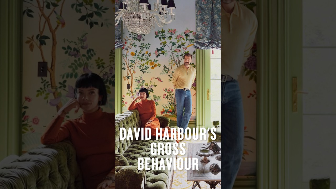 Lily Allen Slams David Harbour in New Album + The Row Sample Sale Sparks Mass Frenzy ✨