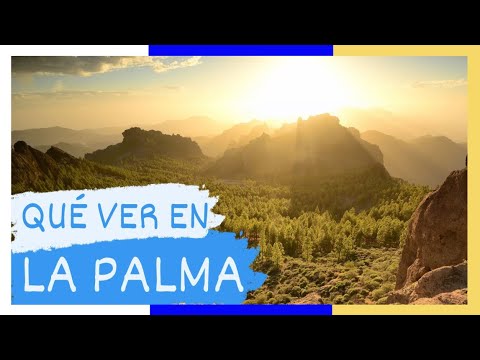 Guía de La Palma: Qué Ver y Hacer en las Islas Canarias 🇪🇸