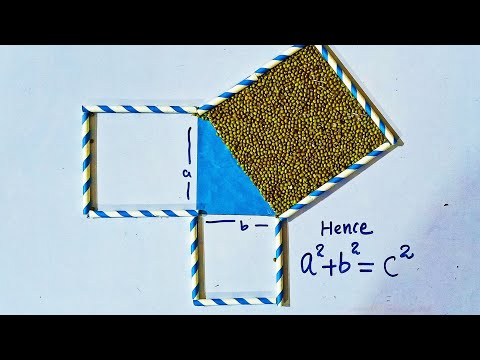 #Shorts Pythagoras Theorem Working Model | Maths Activity