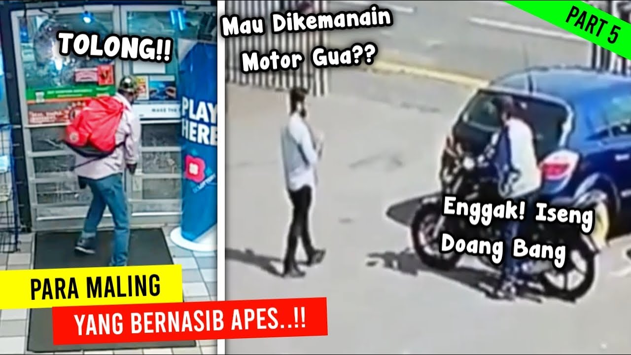 Maling Apes Vs Warga! Koleksi Momen Kocak Para Pencuri Bernasib Sial