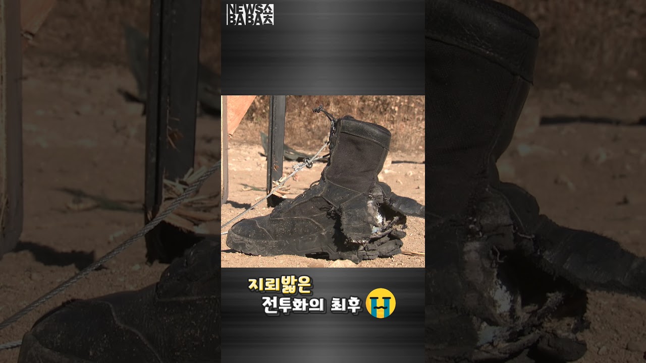 DMZ 안전 필수템! 지뢰화와 지뢰덧신으로 대인지뢰 방어 💥