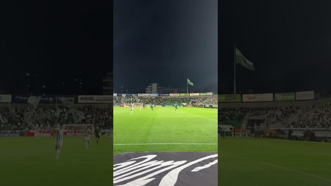 Juventude 0-2 Palmeiras: Destaques do Confronto e Gols ⚽