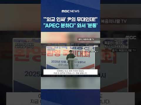 "'외교 인싸' 尹의 무대인데!".."APEC 분하다" 와서 '분통' #Shorts (MBC뉴스)