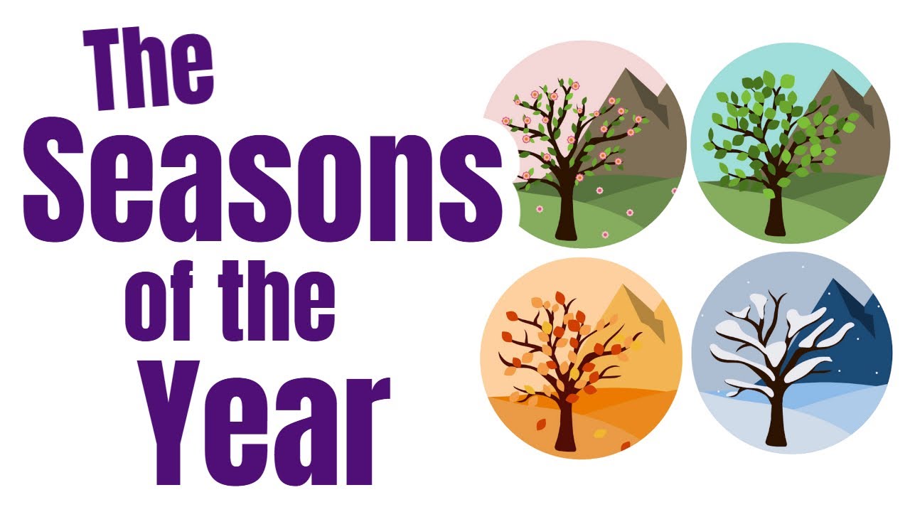 Discover the Four Seasons of the Year for Kids 🌸 | Homeschool Pop