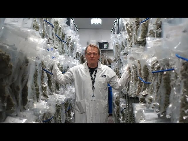 Canopy Growth Fires Co-CEO Bruce Linton Amid Leadership Shakeup 🚨