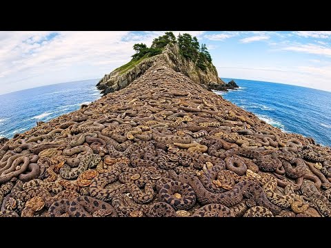 Los Lugares MÁS PELIGROSOS de La Naturaleza