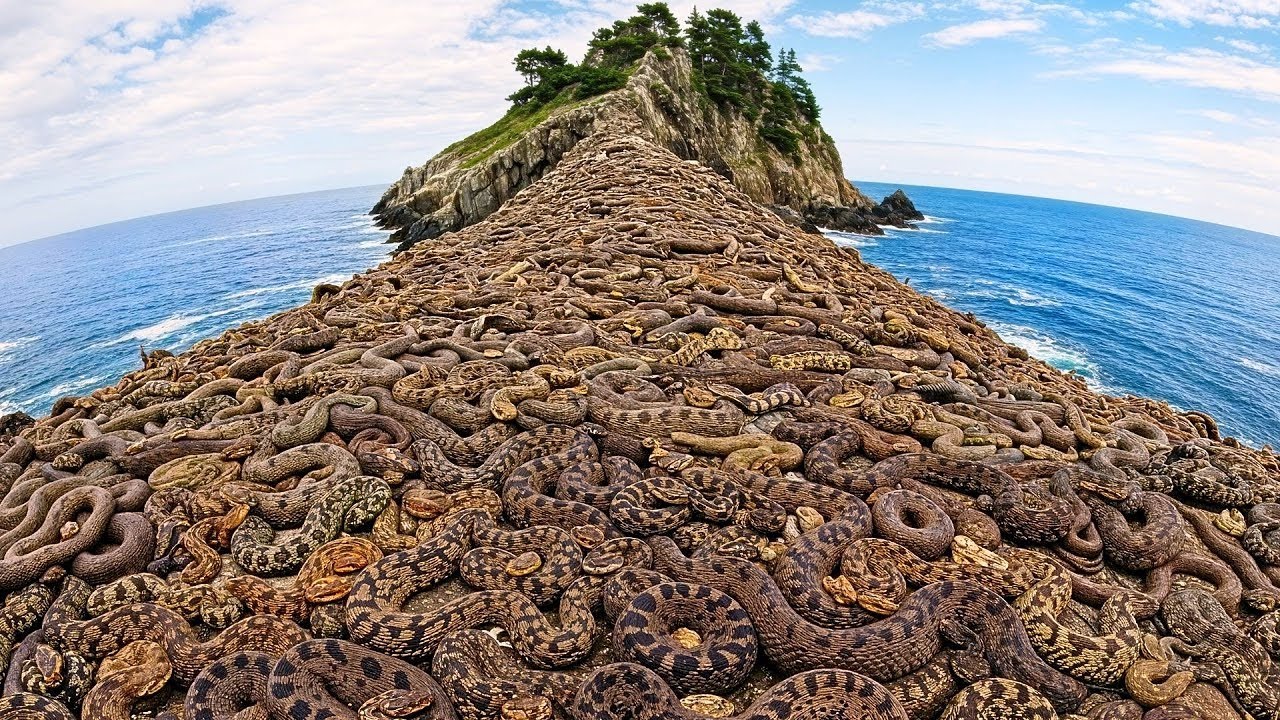 Los Lugares Más Peligrosos de la Naturaleza