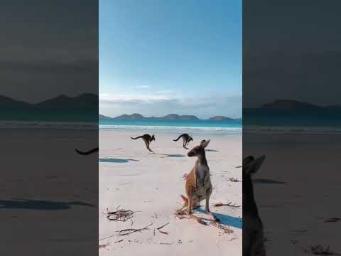 The Most Beautiful Places in Australia 🇦🇺✨🤩 #australia #travel #explore #nature