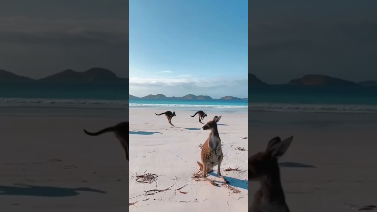 Discover Australia's Most Stunning Natural Wonders π