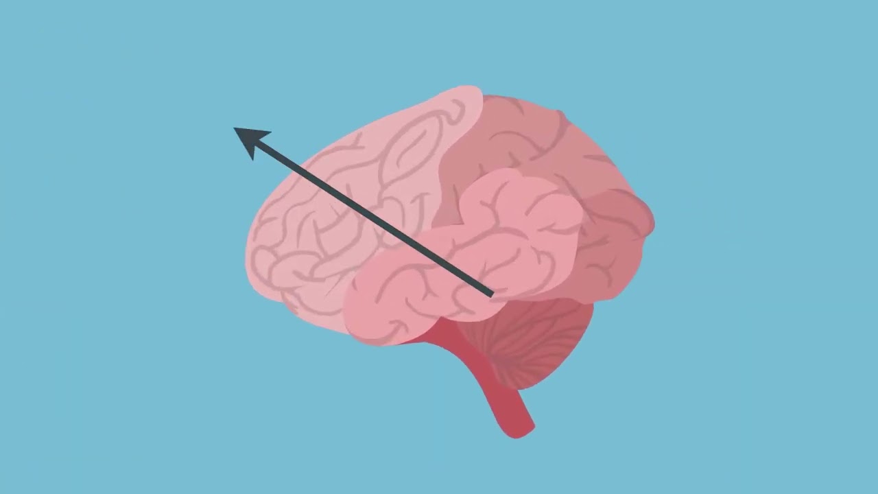 Understanding Encoding: The Gateway to Data Transformation