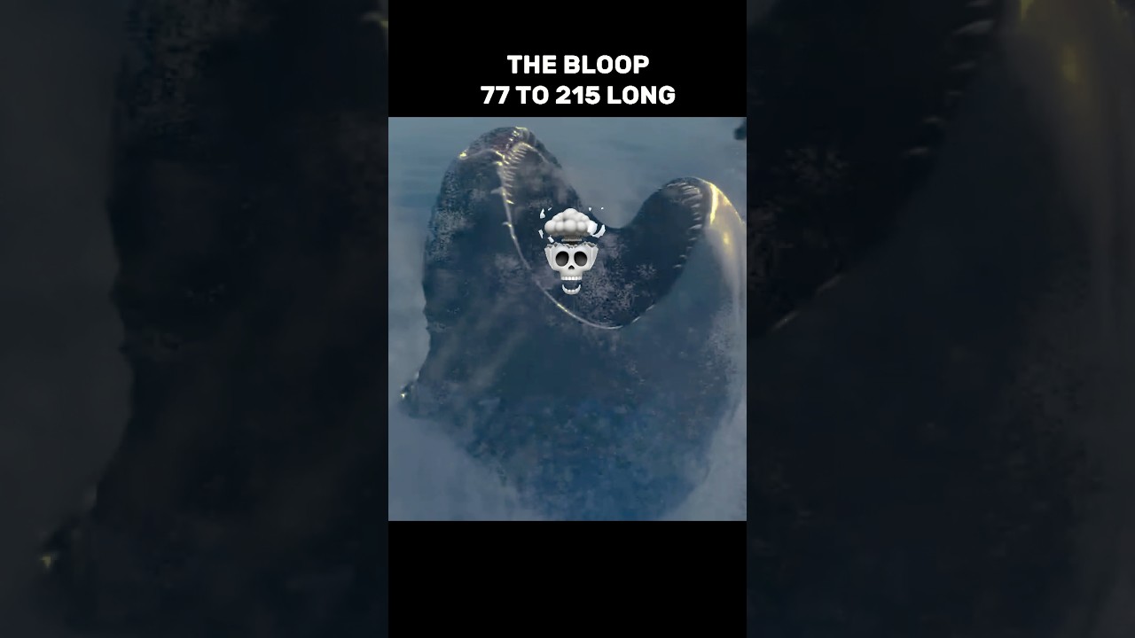 The Bloop vs. Multiverse Size Comparison 🌌