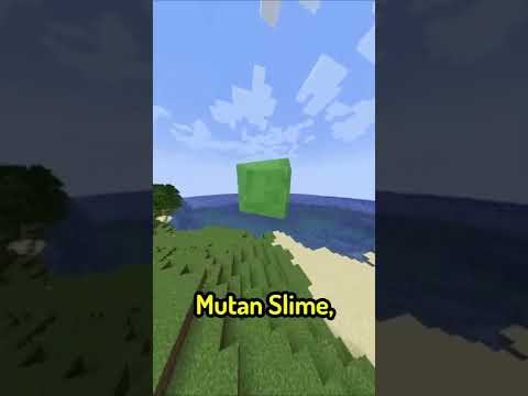 3 BEST Minecraft Commands! 😯