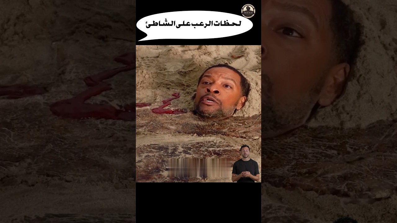 مشاهد مرعبة على الشاطئ في أفلام الأكشن والخيال 🌊