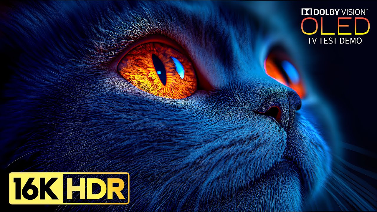 Stunning 16K Ultra HD Video with Dolby Vision