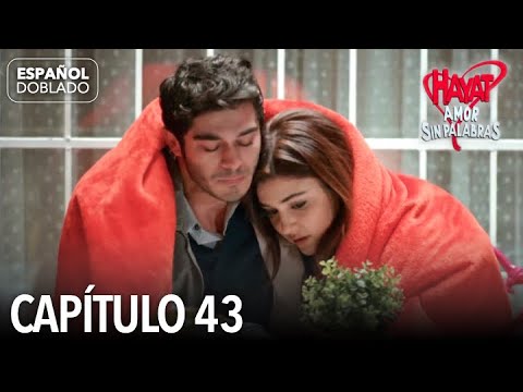 Hayat Amor Sin Palabras Capítulo 43 en Español 🌟