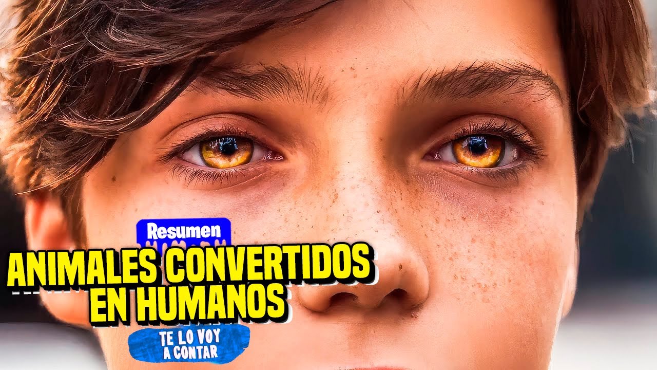 Niño con capacidad de transformarse en puma ingresa a escuela de superhéroes | Resumen