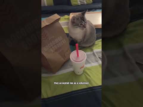 My Cyber security journey: From Beginner to Pro in 2025 #cybersecurity #duet #motivation