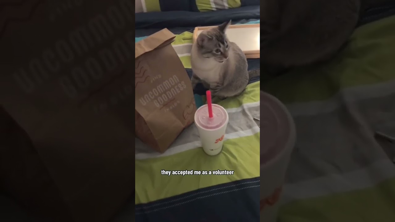 My Cybersecurity Journey: From Beginner to Pro by 2025 π