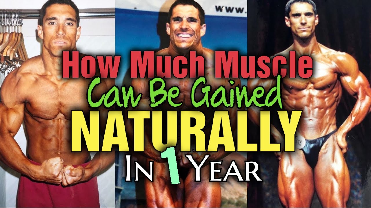 Natural Muscle Gains Per Year 💪