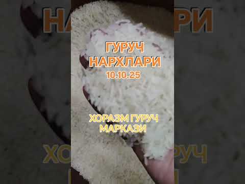 Гуруч нархлари 10.10.25 ☎️+998935555002 #xorazm #guruch #rek #trend #top #reels #tiktok #instagram