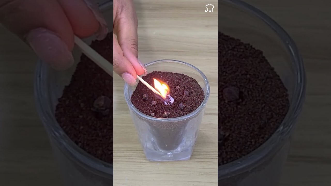 DIY Solution to Repel Flies & Mosquitoes 🦟