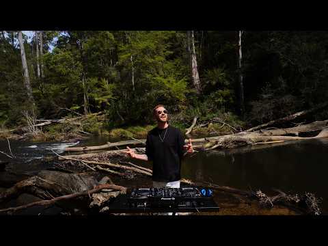 Keinemusik Inspired Afro House Mix (RĂśFĂśS DU SOL, Hugel, Diplo, Antdot) Relaxing Forest DJ Set in 4K