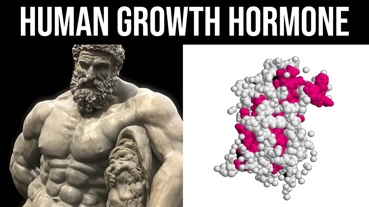 Boost Growth Hormone Naturally 🌱