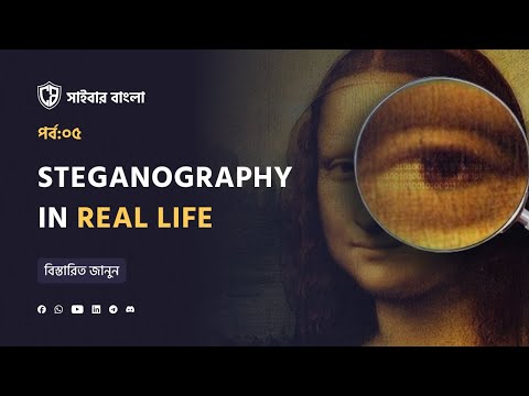 Top Cybersecurity Experts Reveal Steganography Secrets