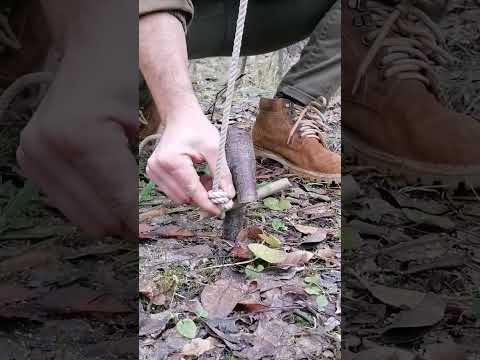 trap #bushcraft #trap #survival #outdoors