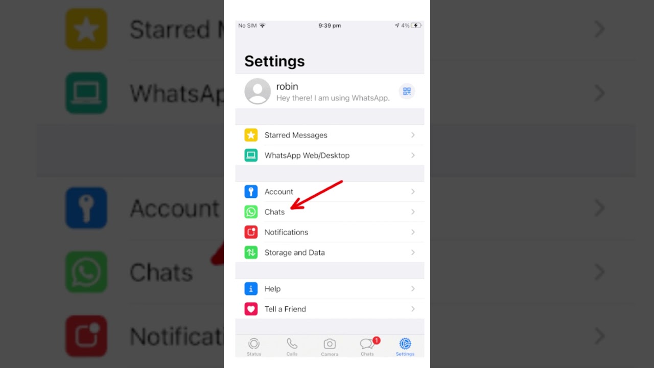 Easiest Way to Backup WhatsApp Chats on iPhone π±