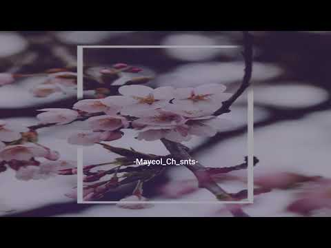 Pídeme la Luna - Leo Dan & Banda El Limón 🌙