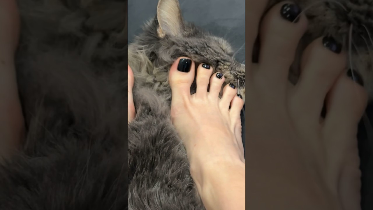 Relaxing Barefoot ASMR with My Cute Kitty 🐾