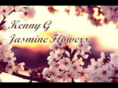 Kenny G - Jasmine Flower