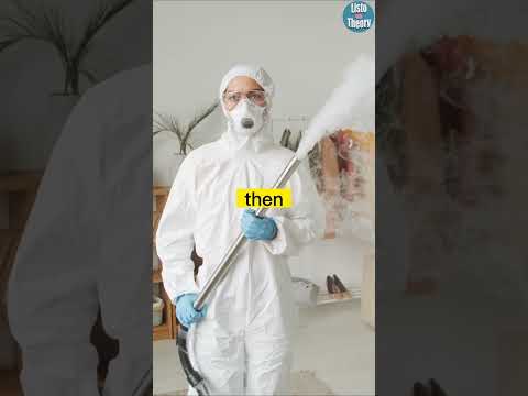 Steps To Help You Survive A Nuclear Bomb