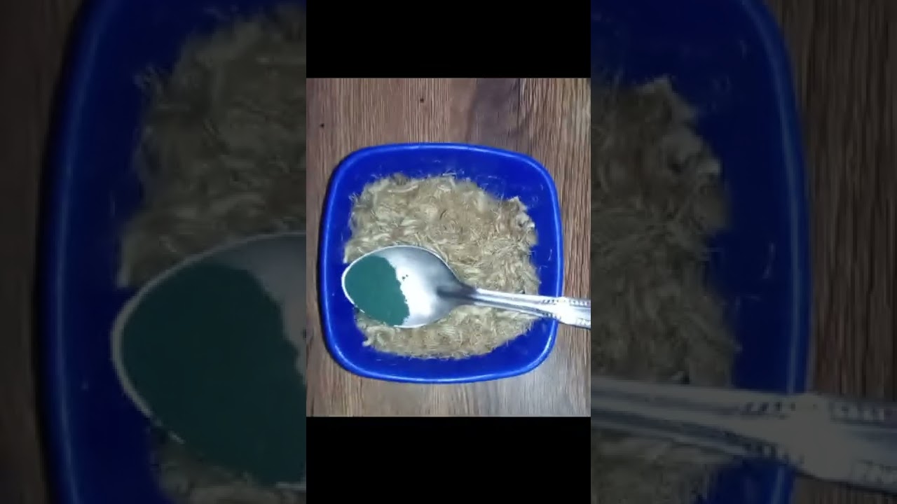 Transform Your Garden with Beautiful Artificial Grass at Just โน5 per Square Meter ๐ฟ