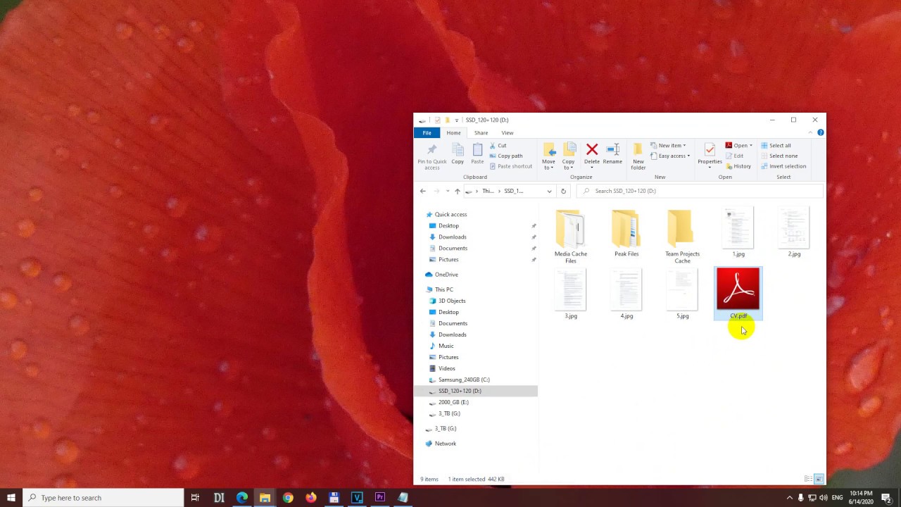 Converting Multiple Scanned Pictures into a Single PDF Document Using Microsoft Word
