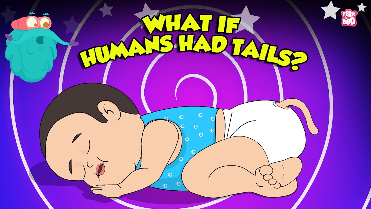 What If Humans Had Tails? | Human Anatomy ๐ฆถ