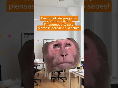 🙈 ¿Cuántos activos TI tenemos?