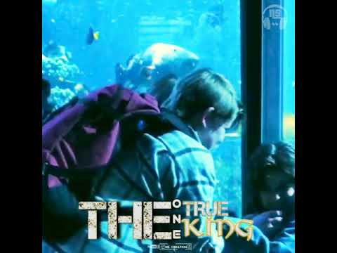 Aquaman & Lion King Mass BGM WhatsApp Status π΅