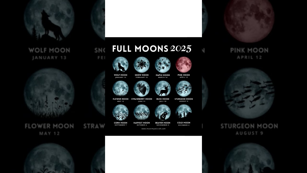 Full Moons in 2025: Dates & Types 🌕