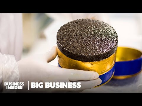 Africa’s First Caviar Disrupts European Michelin-Starred Restaurants | Big Business